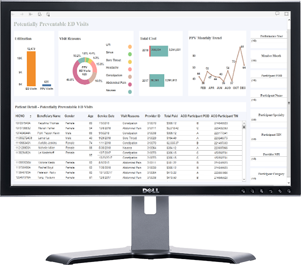 DSRIP ED VISITS Dell_Monitor_2017_TB-1